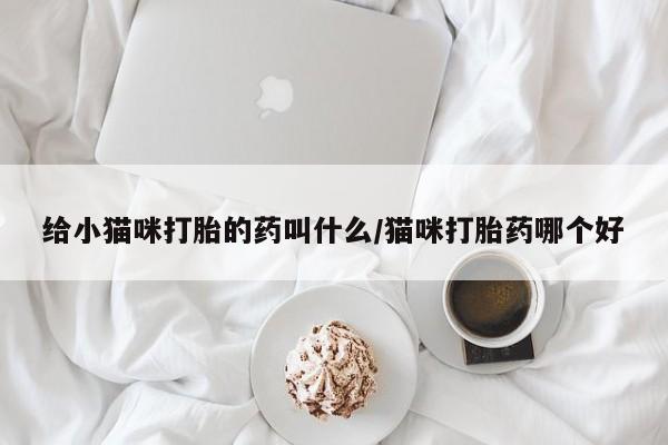 米非司酮片网上药店购买方式给小猫咪打胎的药叫什么/猫咪打胎药哪个好