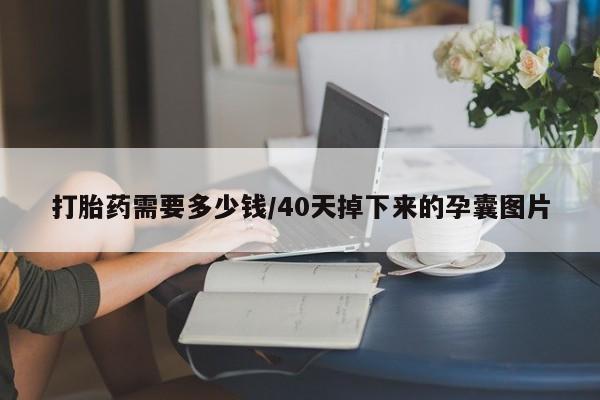 米非司酮片网上药店购买方式打胎药需要多少钱/40天掉下来的孕囊图片