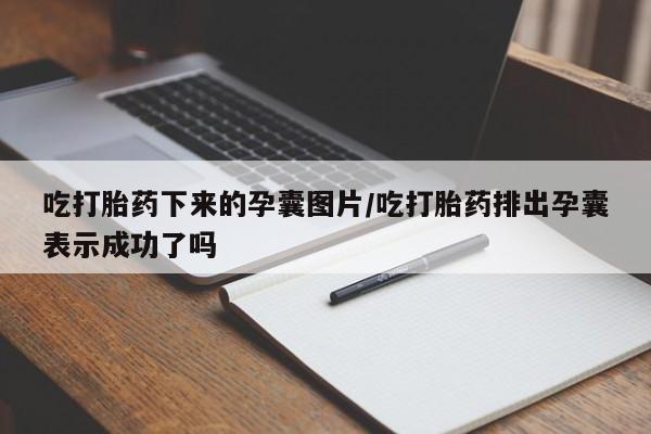 米非司酮片网上药店购买方式吃打胎药下来的孕囊图片/吃打胎药排出孕囊表示成功了吗